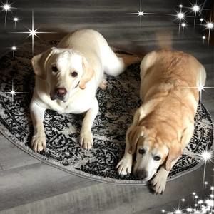 Meet your Posher, Sherry